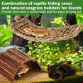 thumbnail image 6 of VNEKVA 11 Pack Reptile Terrarium Accessories, Bearded Dragon Hammock with Plants, Vines, Hide Cave for Lizard Gecko, 6 of 6