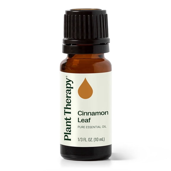 Plant Therapy Cinnamon Leaf Essential Oil 10 mL (1/3 oz) 100% Pure, Undiluted, Therapeutic Grade