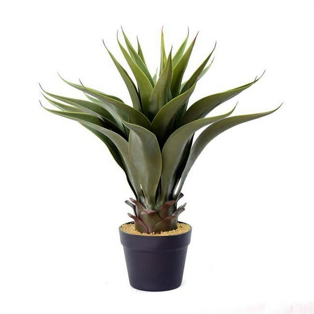 Vickerman FO182101 22 in. Green Potted Aloe Vera Pot