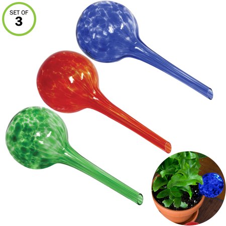 Best Glass Water For Plants
