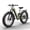 Green1, variant on PUCKIPUPPY Electric Bikes for Adults 26" Step-Thru Ebikes 960W Peak Motor 80Miles Range 28mph Max Speed 48V 20AH Battery Full Suspension Fat Tire Mountain E Bike 7 Speed, Comply with UL2849 By SGS