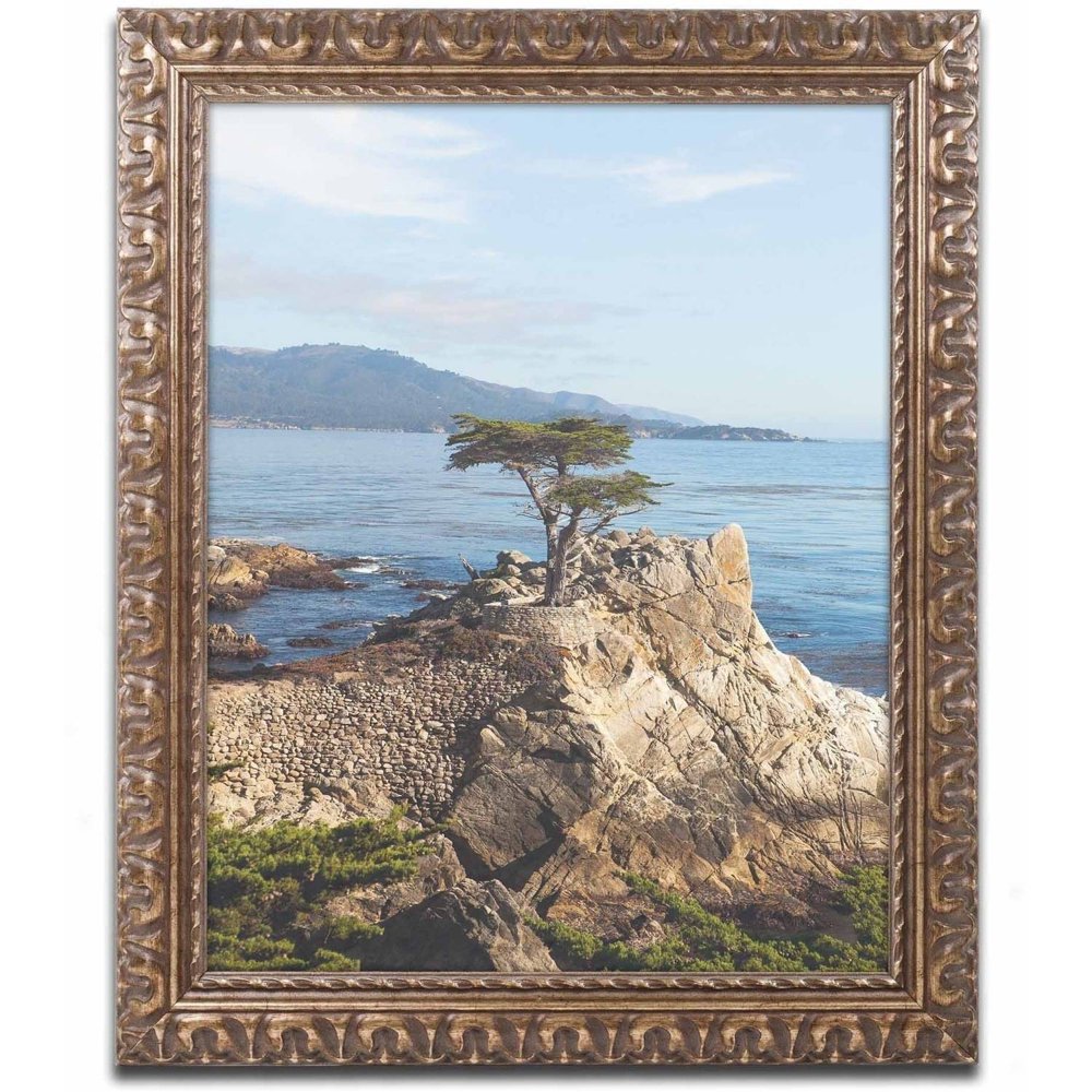 Trademark Fine Art 'Lone Cypress Tree' Canvas Art by Ariane Moshayedi