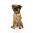 thumbnail image 3 of Didog Soft Mesh No Pull Dog Harness Adjustable Breathable Pet Puppy Control Vest XS-L, 3 of 5