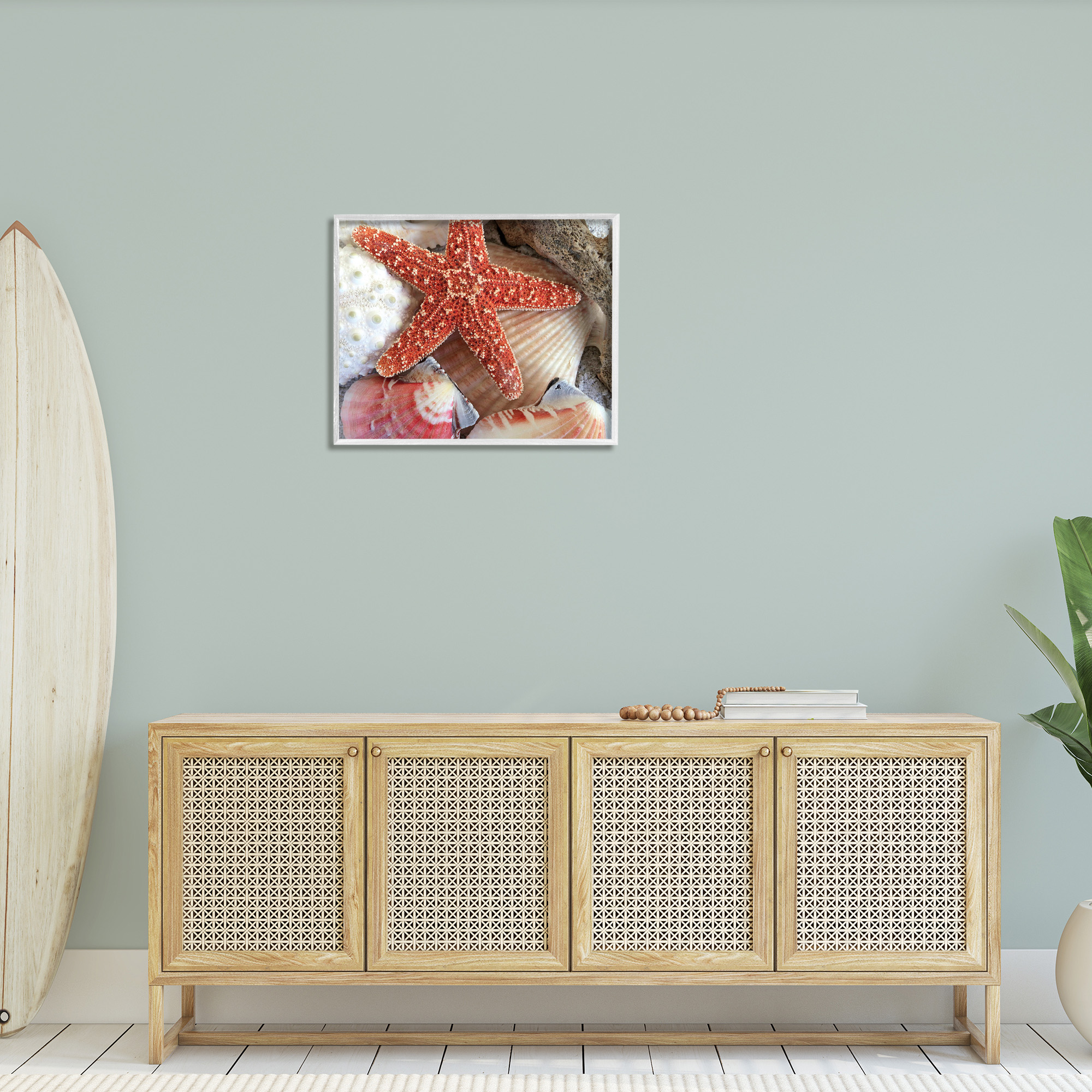 Stupell Industries Various Seashells Ashore Animals & Insects Photography White Framed Art Print Wall Art, 30 x 24