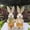 35cm Orange Flower Rabbit/pair, variant on 【A pair of 35cm straw rabbits】Handmade crafts, pastoral style ornaments, vintage forest-themed home and shop decoration