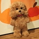 thumbnail image 3 of Peluche de perro creativo, vestido de peluche, animal suave y realista, muñeco de perro marrón, decoración para el hogar y la oficina, regalos para niñas y niños, 3 of 5