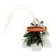 thumbnail image 2 of Colgante de Aromaterapia para Árbol de Navidad | Decoración de Papel Rojo, Blanco y Verde con Aroma a Palo de Madera | Regalo Navideño para Desodorante de Coche y Dormitorio | Adorno Colgante con Aro, 2 of 6