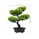 thumbnail image 2 of unbranded Árbol Pino Artificial En Maceta Para Decorar Interior Con Textura Y Resistencia Duradera, 2 of 5