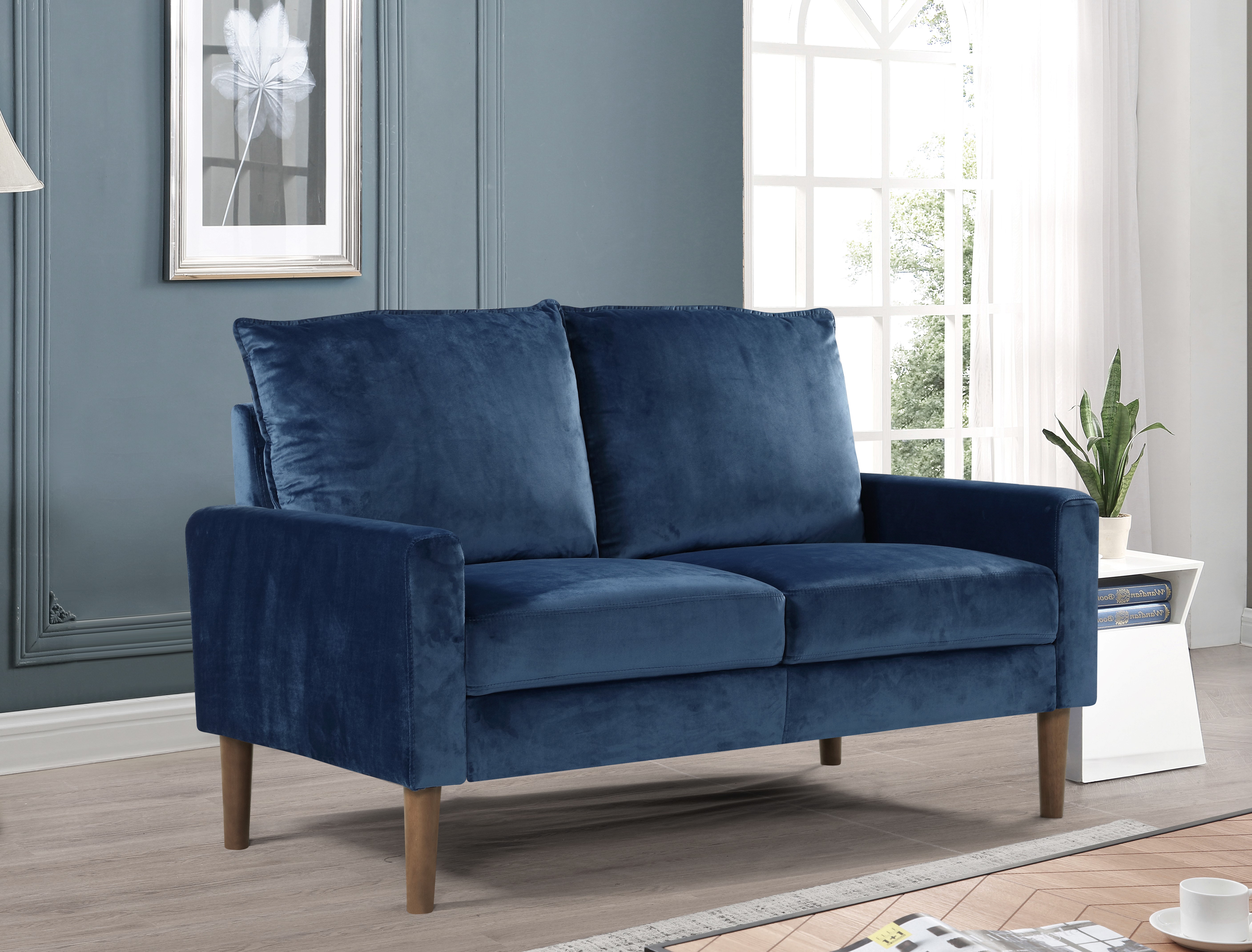 Beily Velvet Square Arm 2 Pieces Living Room Set