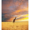 thumbnail image 3 of Savannah Duvet Cover Set, Giraffe in Savannah Colorful Cloudy Sky at Sunrise Grassland Autumn Picture, Decorative 3 Piece Bedding Set with 2 Pillow Shams, Queen Size, Yellow and Peach, by Ambesonne, 3 of 3