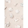 thumbnail image 2 of 1x Studio III 11x14 White Modern Wood Framed Museum Art Print Titled - Shells_2, 2 of 4