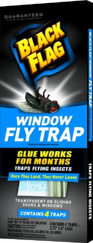 Black Flag Window Fly Trap Catches All Flying Insects 4 Traps