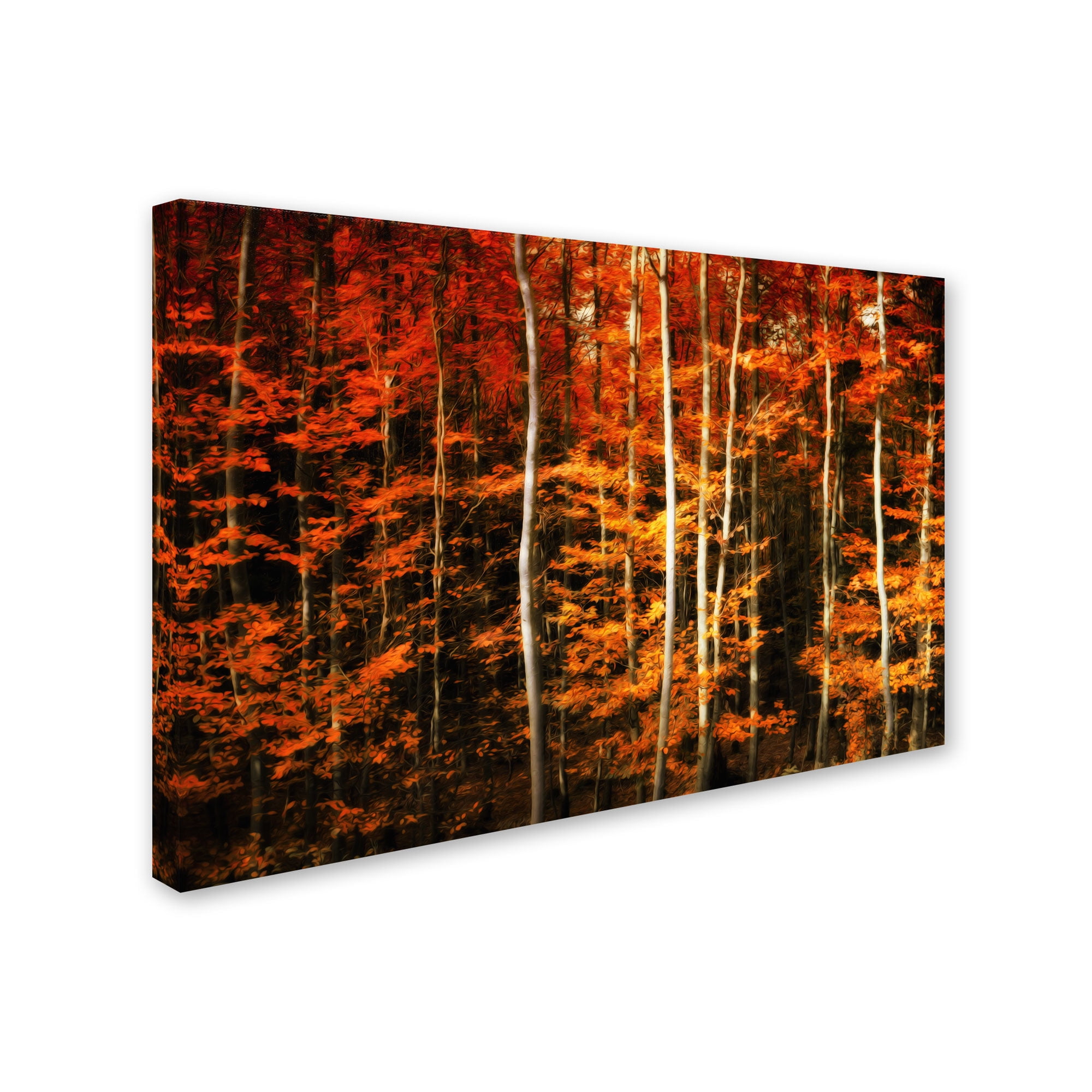 Trademark Fine Art "Still Painting" Canvas Art by Philippe Sainte-Laudy