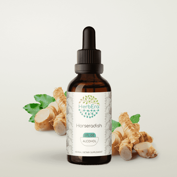 HerbEra Horseradish Tincture, Herbal Dietary Supplement for Digestive Support, Horseradish (Armoracia rusticana) Dried Root Extract, Natural, Alcohol Tincture, Drops 2 oz