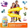 thumbnail image 5 of Dr. Moritz Vitamin C Gummies, Immune Support, Low-Sugar, Chewable, Vegetarian, 120 ct, 5 of 7