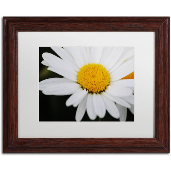 Trademark Fine Art "Sweet Splendor" Canvas Art by Monica Mize, White Matte, Wood Frame
