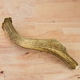 thumbnail image 3 of Chasing Our Tails Deer Antler Extra Large for Dogs 1 Count, 3 of 5