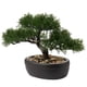 thumbnail image 1 of Árbol Bonsái Artificial Briful Junípero con Maceta de Cerámica 23 cm, 1 of 7