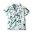 thumbnail image 3 of Boy Short Set Floral Print Shirts Shorts Big Sister Little Bro Outfit Family Matching Twins Matching Outfits,12M-6Y, 3 of 5