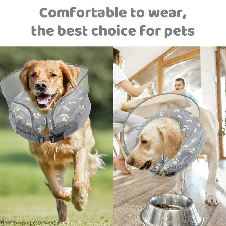 Dog with on sale donut pillow