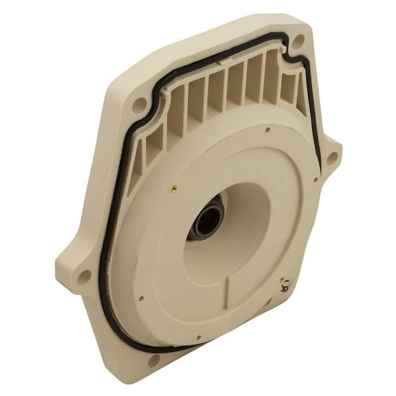 Pentair 350199 WhisperFlo Almond-Color IntelliPro Seal Plate Test w/ Gasket Kit