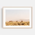 thumbnail image 2 of wild horses in wildfire smoke - Carson City Nevada Photography Horse Desert Wildlife Nature Pastoral Rural Scenic Unframed Wall Art Print 16 x 24 inches, 2 of 7