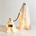 thumbnail image 2 of Twfbrm Halloween Ghost Walking Dog Decor for Ourdoor, Light-Up Spooky Ghost with Adjustable Height, Battery Operated White Ghost with LED Light, Halloween Decorations for Garden Yard Patio Porch, 2 of 8