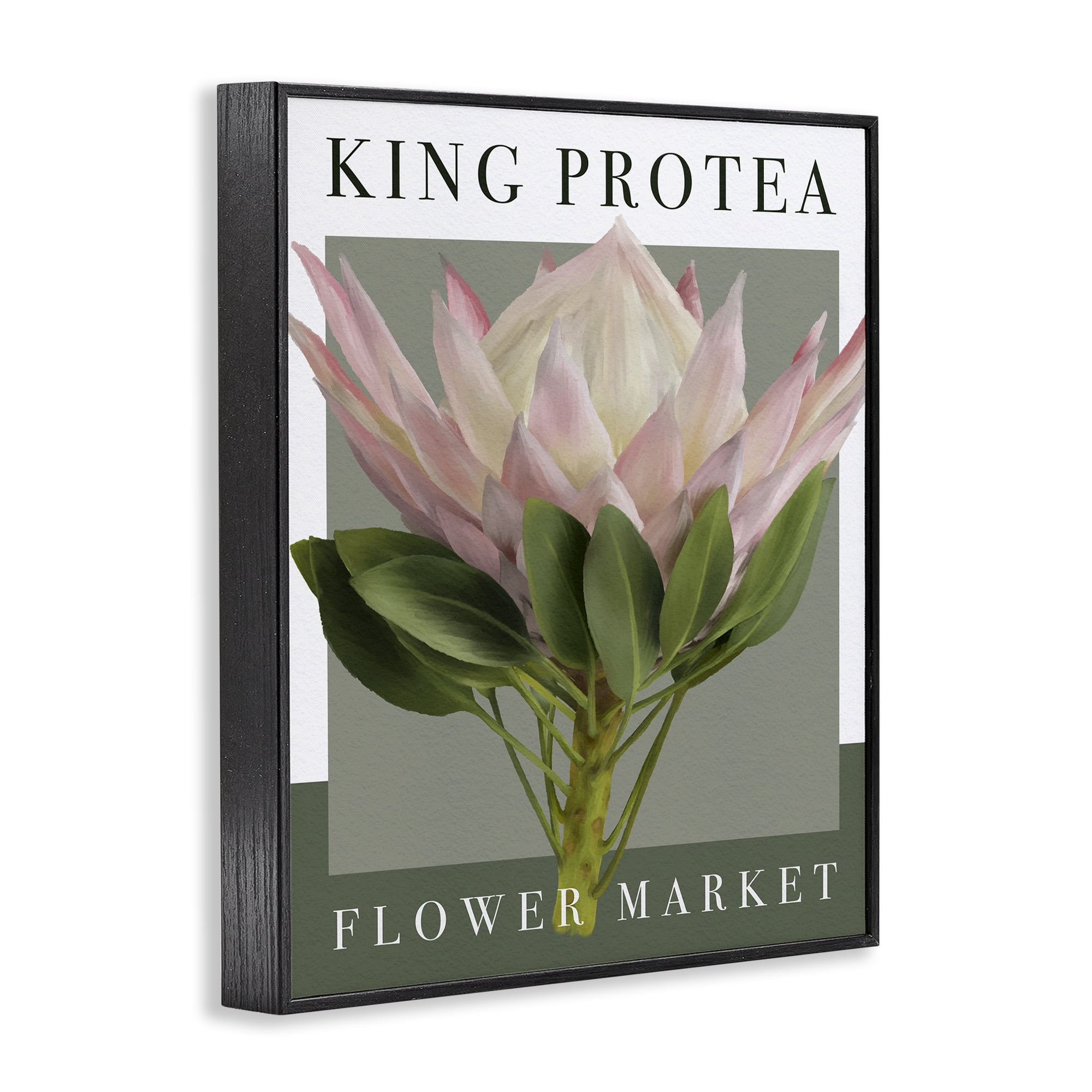 Stupell Industries King Protea Flower Market Black Framed Giclee Art, design by Jennifer Stith
