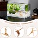 thumbnail image 5 of Mini Driftwood para Acuario Ramas de Madera Natural Decoraciones Peceras Reptiles áRbol Surtido (Paquete 10), 5 of 5