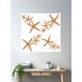 thumbnail image 2 of Tumble Star - Coral Poster Wall Art, Modern Wall Decor For Living Room Bedroom, 24x24 UNFRAMED, 2 of 3