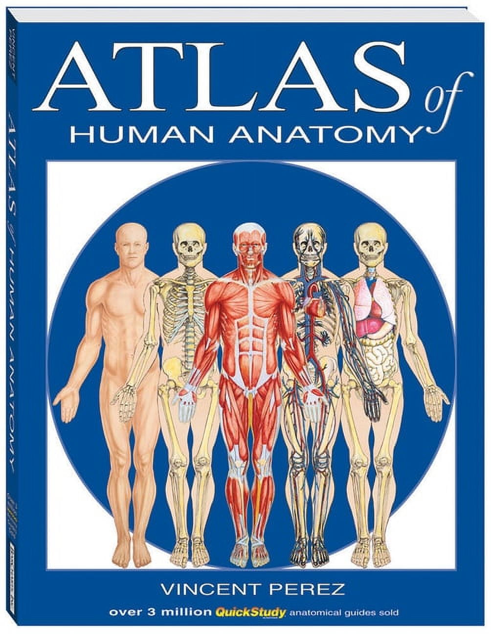 Bourgery. Atlas of Human Anatomy and Surgery, (Hardcover