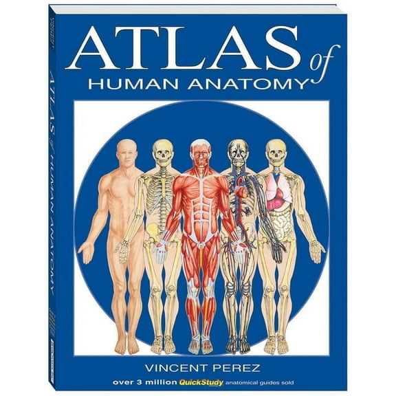 Atlas of Human Anatomy, (Paperback)