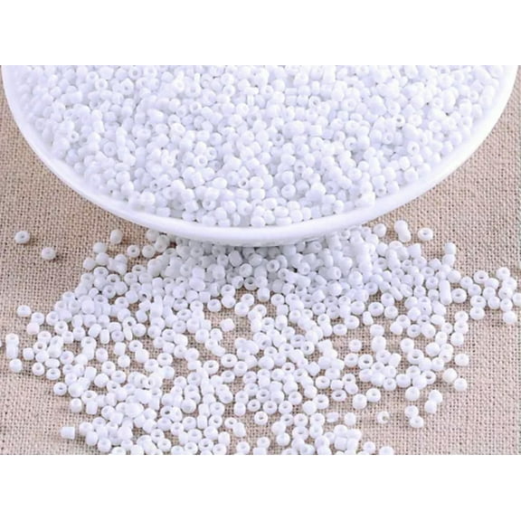 EOEMY 5000 Opaque Rocailles Glass Beads 2mm (10/0)   Storage Box Jewelry Making-White