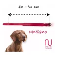 thumbnail image 3 of Collar Premium Para Perros 100% Piel Varios Colores, 3 of 8