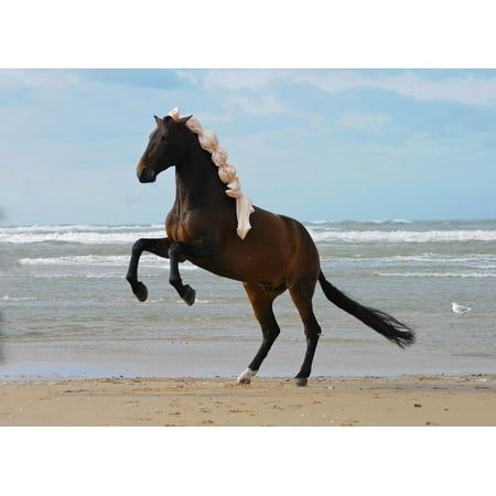 - Canvas Print Horse Mammal Prancing Horse Horses Stallion Animal Stretched Canvas 10 x 14