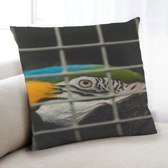 Ahgly Company Animals Parrot Indoor Throw Pillow, 18 inch by 18 inch