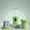 Green-GN-clearacne, variant on Dyegold Portable Juicer Wireless Rechargeable Mini Blender Cup for Fruit Vegetable Smoothie Ice Crushing Home Travel 1 Piece