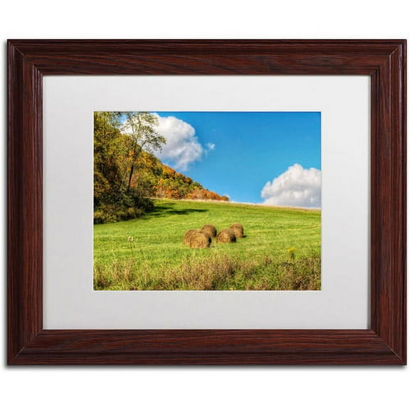 Trademark Fine Art "October Afternoon" Canvas Art by Lois Bryan, White Mat, Wood Frame