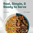 Homemades Natural Wet Food and Meal Topper or Mixin Made with