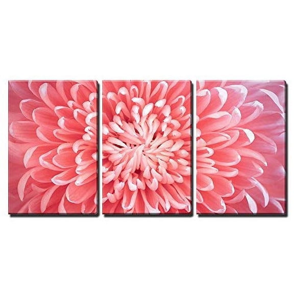wall26 - 3 Piece Canvas Wall Art - Flower - Modern Home Art Stretched and Framed Ready to Hang - 16"x24"x3 Panels