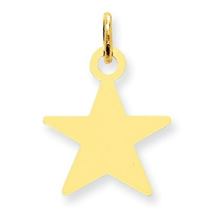 14k Yellow Gold Engravable Polished Star Disc Charm (0.9in long x 0.6in wide)