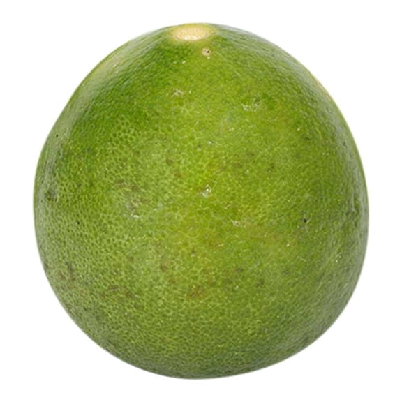 Limón agrio por kilo