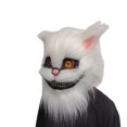 thumbnail image 1 of Máscara integral de resina con forma de gato de Cheshire para Halloween, cosplay, adulto, 1 of 2