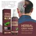thumbnail image 5 of Alaparte Herbal Gray Hair Darkening Spray with Polygonum Multiflorum Extract, Natural Gradual Color Restoration for Gray Hair, Sulfate-Free Moisturizing Formula for Daily Use, 3.38 fl oz Each, 5 of 7