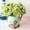 Vert, variante sur Fleurs Artificielles en Solde! Centre de Table de Cuisine Décor Vintage Fleurs Artificielles Fleurs de Pâques Artificielles Décorations Florales de Mariage en Vrac Fleurs Artificielles en Solde