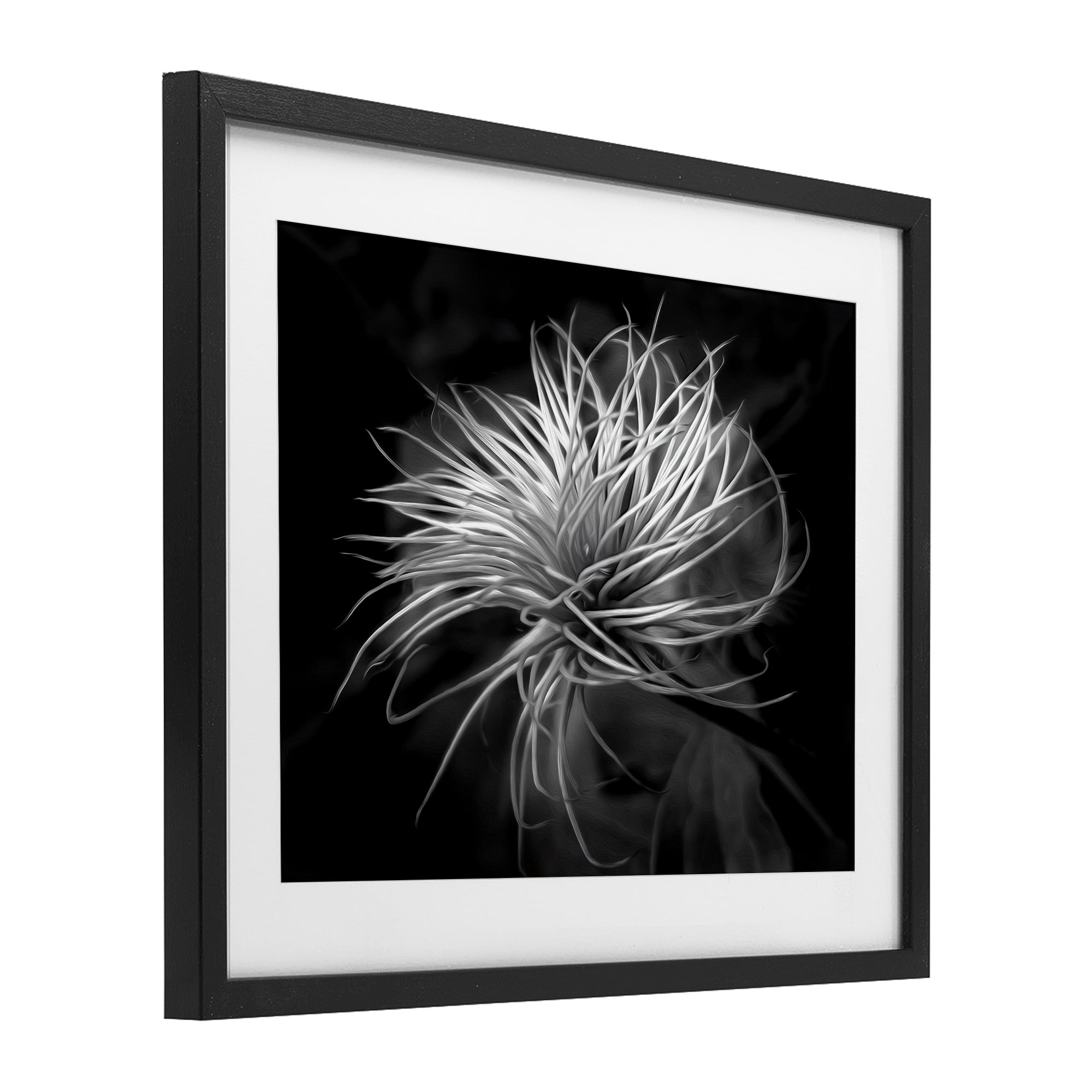 Twisting Botanical Leaves Contrast Black Framed Print Under Glass, design by Phillip Flowers