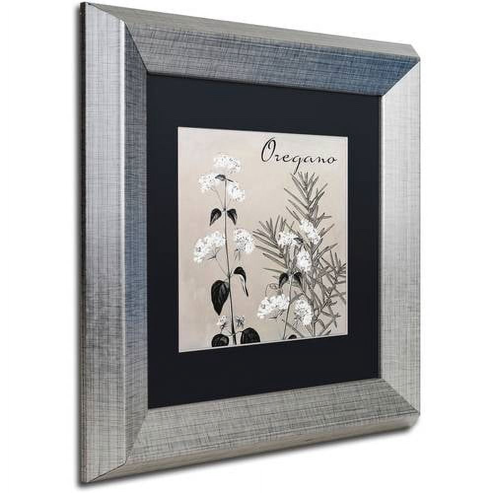 Trademark Fine Art "Flowering Herbs II" Canvas Art by Color Bakery Black Matte, Silver Frame