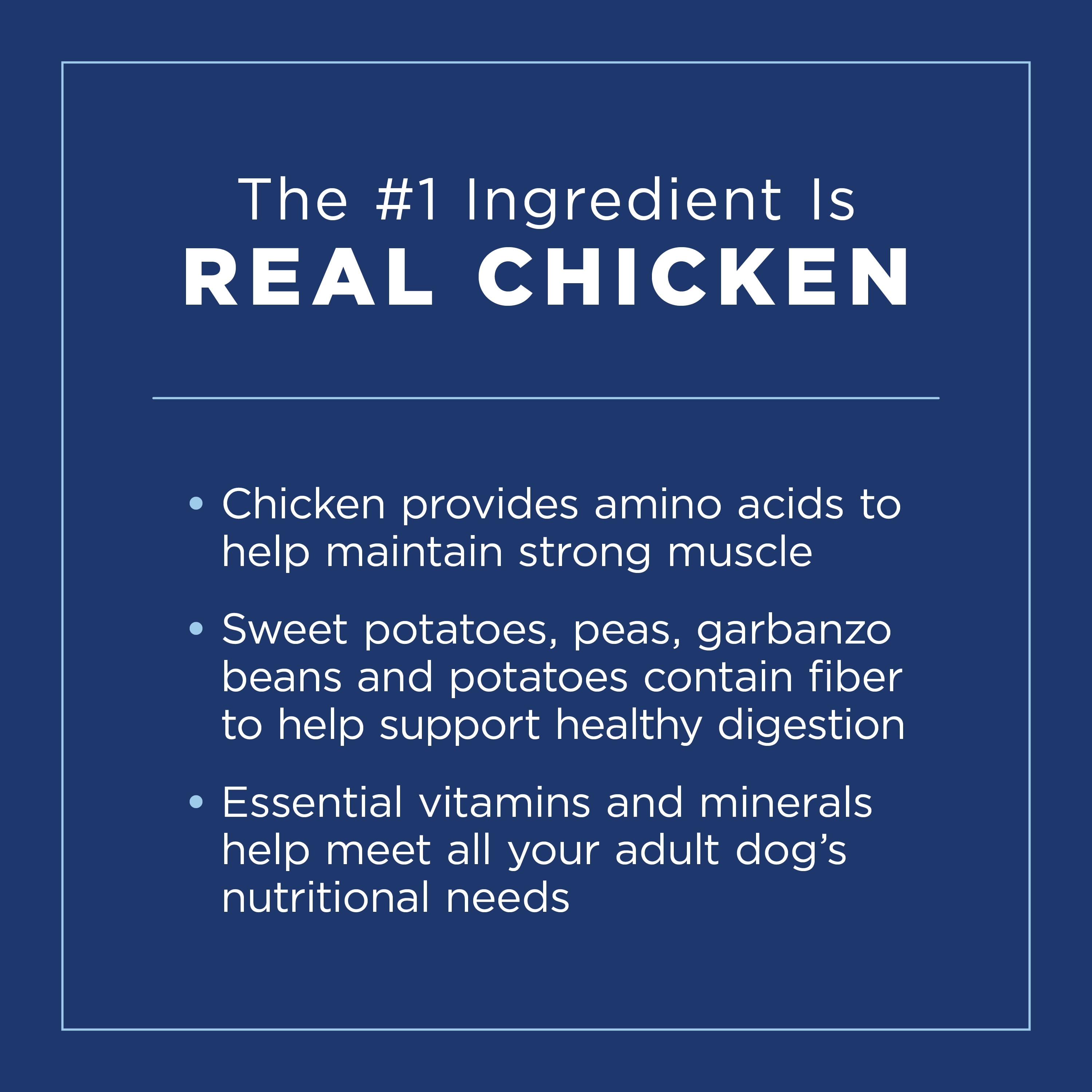 Natural Balance Limited Ingredient Diets Chicken & Sweet Potato Formula Dry Dog Food, 13 Pounds, Grain Free