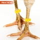 thumbnail image 2 of 100 anillos para patas de pollo, bandas de identificación para patas de pollo, anillos para patas de aves de corral, 2 of 6