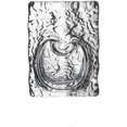 thumbnail image 2 of Mini Vase, Romantic Heart-shaped Vase - Ideal for Valentine's Day and Wedding, 2 of 8